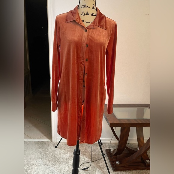 Velvet Button-Up Dress in Rust in size Medium excellent condition - Picture 4 of 9